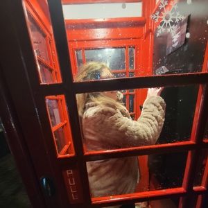 Meet your Posher, Rita